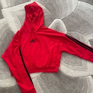 Adidas Scarlet Hoodie with Ebony Stripes